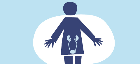 Urologia e andrologia