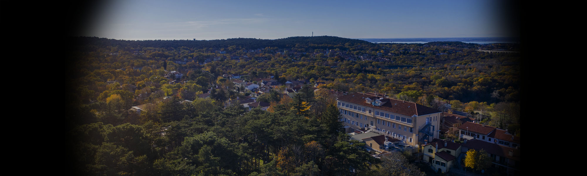 Banner home - Pineta del Carso