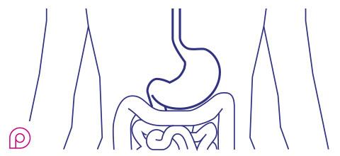 Gastroenterologia