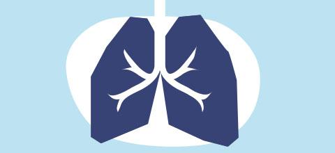 Pneumologia e broncologia