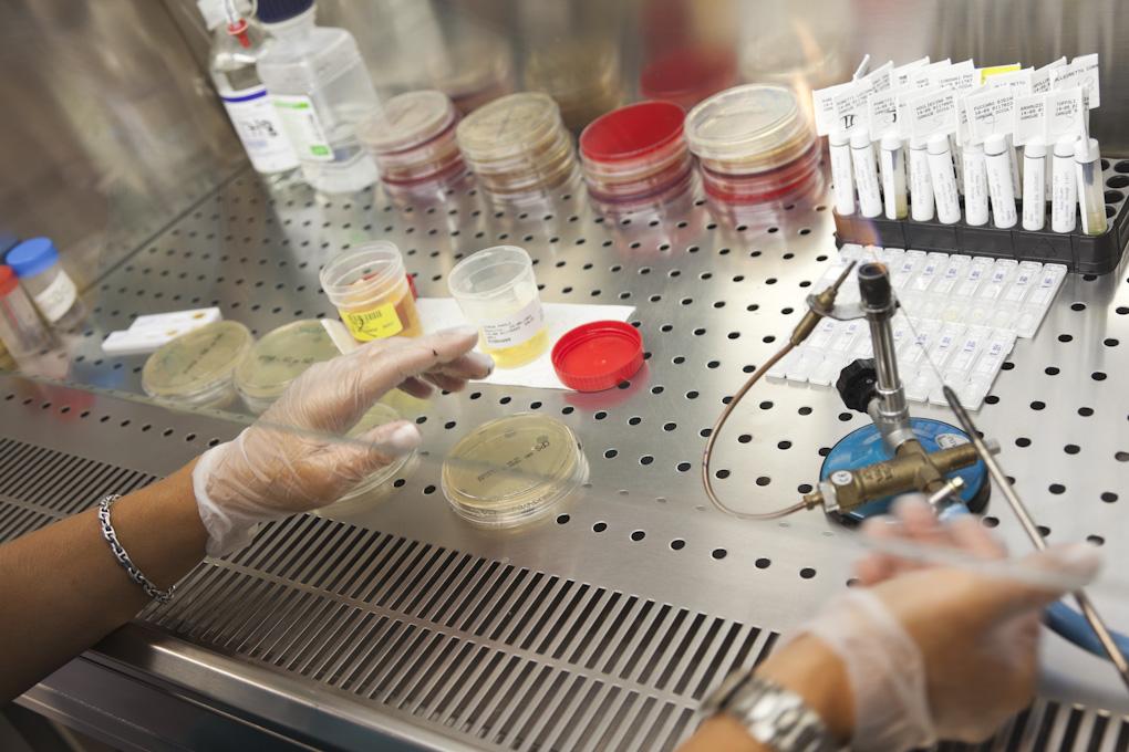 Salus Trieste – Laboratorio