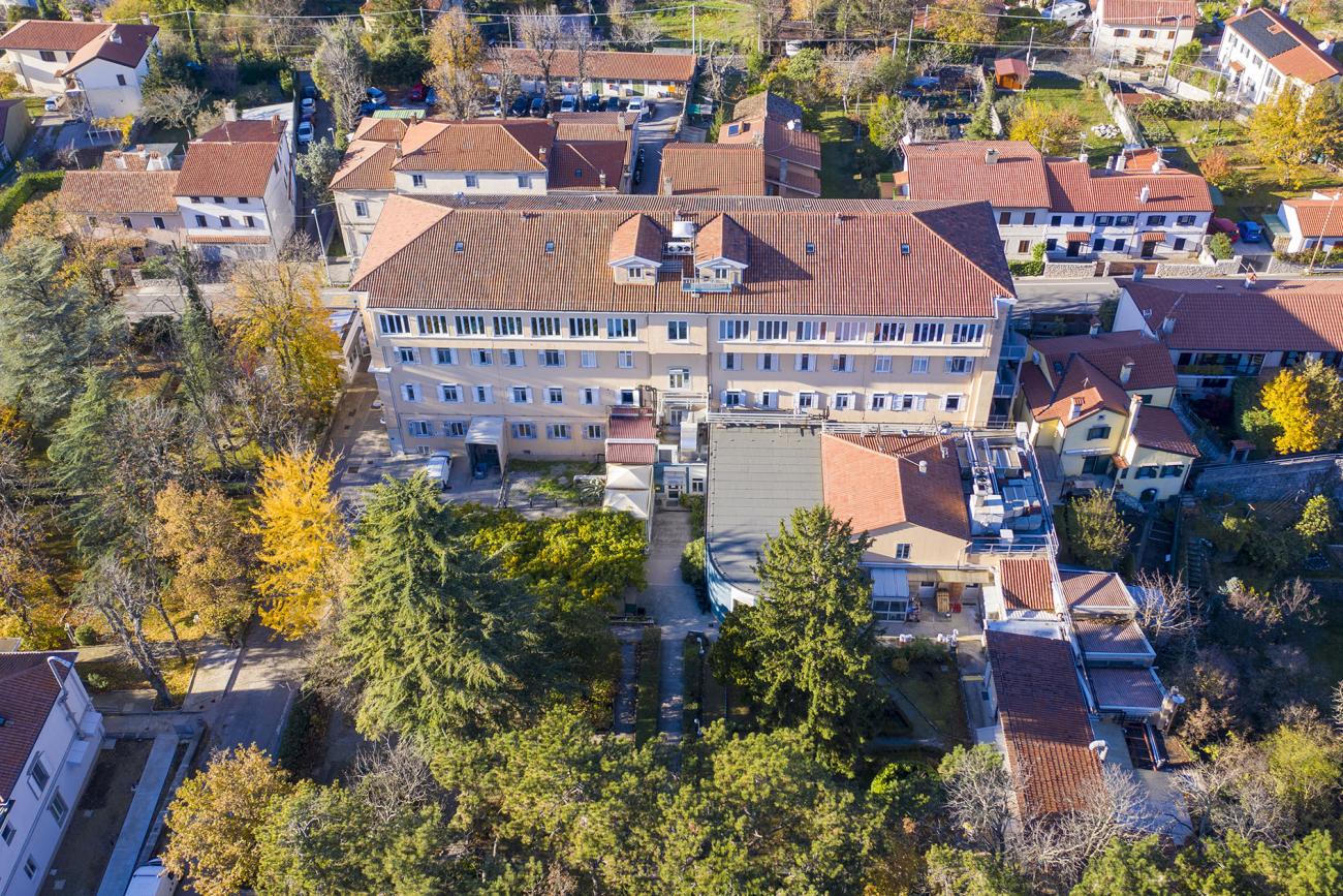 Pineta del Carso